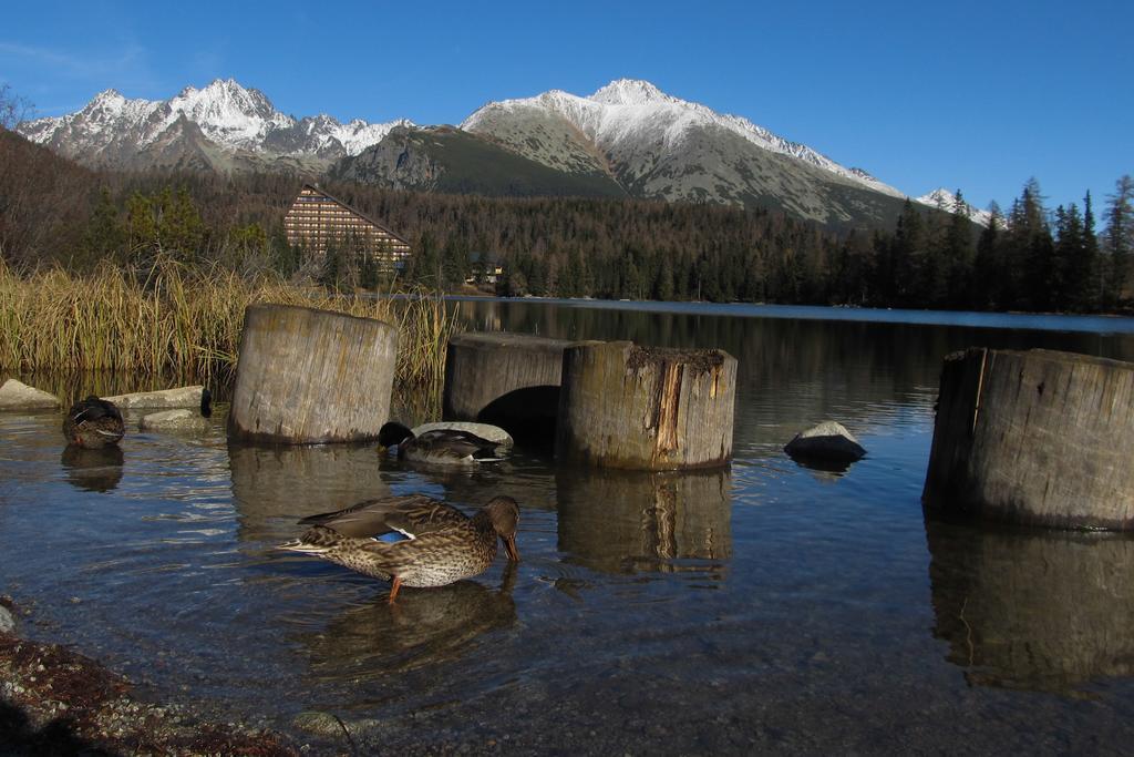 Apartman Strbske Pleso - Crocus 219 Rom bilde